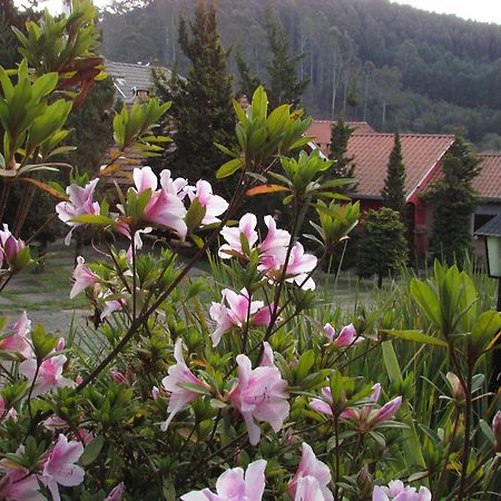 Pousada Flores Da Serra Monte Verde  Exterior photo